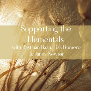 Supporting-the-Elementals